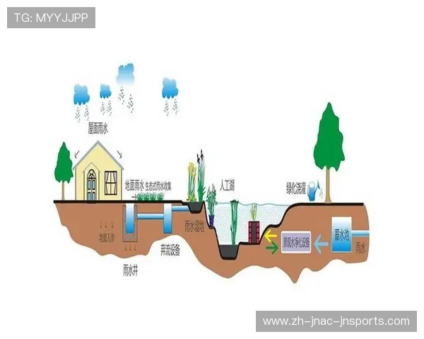 足球雨水收集系统在草坪灌溉中的实际应用效果分析